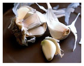 ������ � ���������