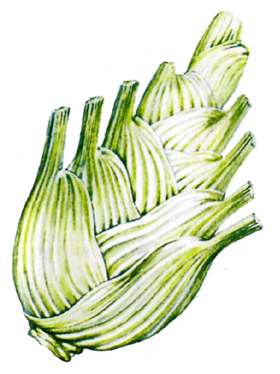 ������� �������������