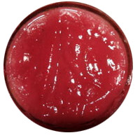 ��������� ����