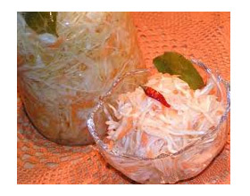 ������������ �������� �������