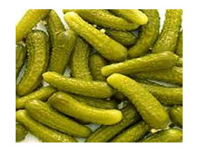 ������������ ���������