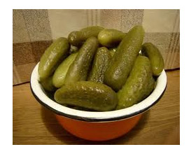 ������������ ������