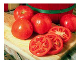 �������� � ���������