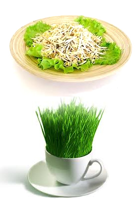 ������������� ���������� � ���������