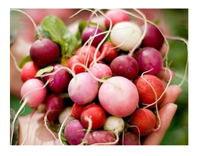 ����� � ���������