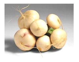 ���� � ���������