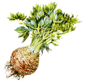 ��������� ��������