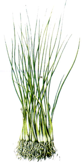 �����-���