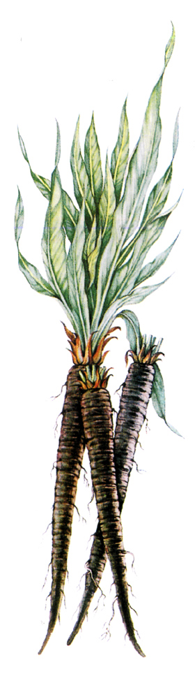 ����������