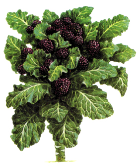 ��������� ��������