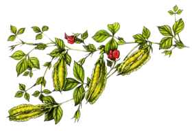 ��������� �����