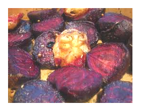 ������ �� ������