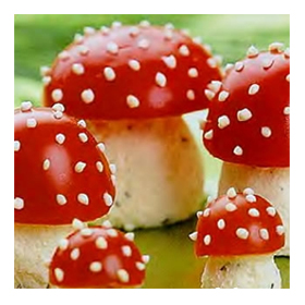 ������� &laquo;�����&raquo;